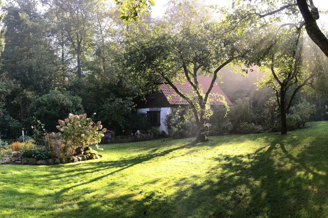 Kleines Haus Villa Ganderkesee Eksteriør billede
